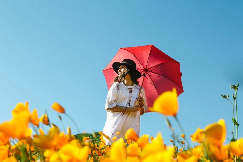 Seasons © Jeremy Bishop